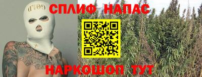 ПСИЛОЦИБИНОВЫЕ ГРИБЫ Кимры
