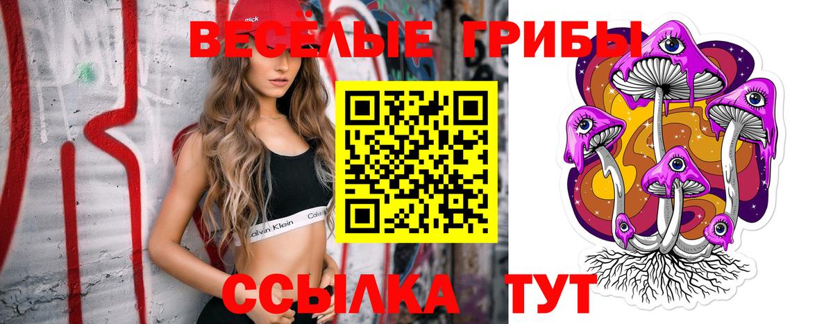 купить наркотик  Галлюциногенные грибы MAGIC MUSHROOMS  Вход с VPN  Электросталь 